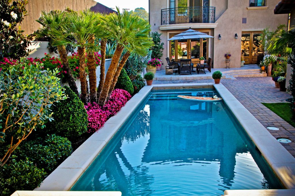 Tropical lap pool and garden, Brentwood